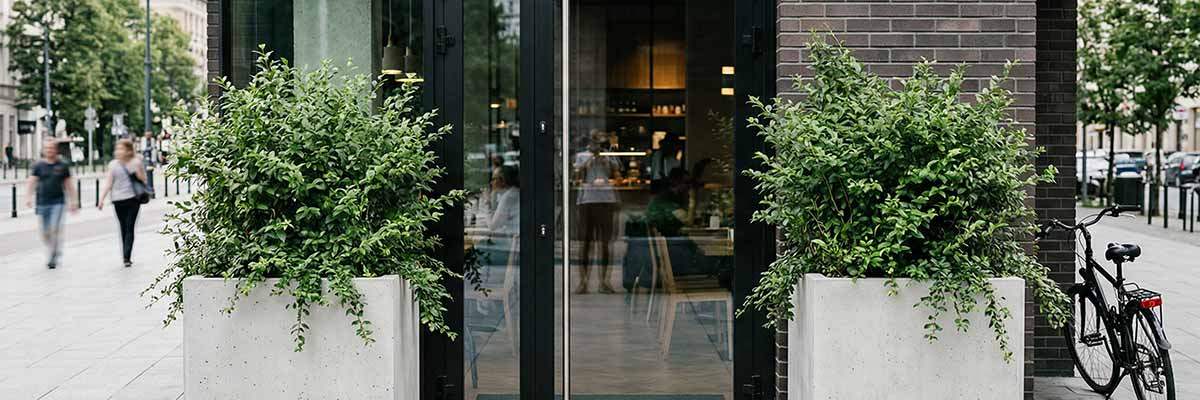 Donice betonowe przed domem – pomysły na aranżację wejścia